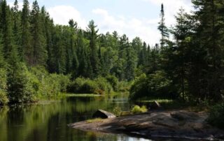 Ontario's Best Provincial Parks