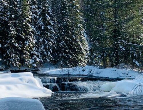 10 Unforgettable Winter Field Trips for Kids in Ontario
